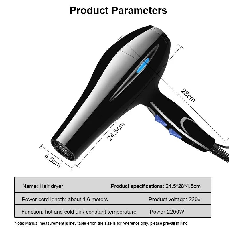 2200W Professional Ionic Hair Dryer with Hot Cold Settings