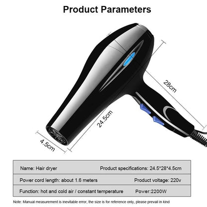 2200W Professional Ionic Hair Dryer with Hot Cold Settings - RESTORALUX