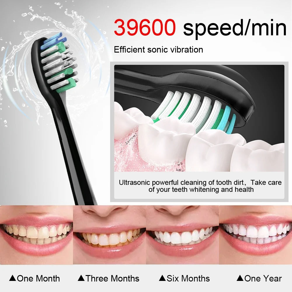 Electric Sonic Toothbrush with 8 Heads for Teeth Whitening